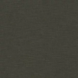 green plain woven fabric from Camengo