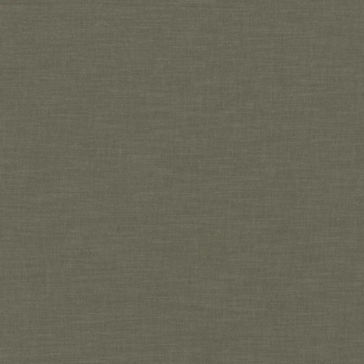 Esprit Fabric - Smoke by green plain woven fabric from Camengo
