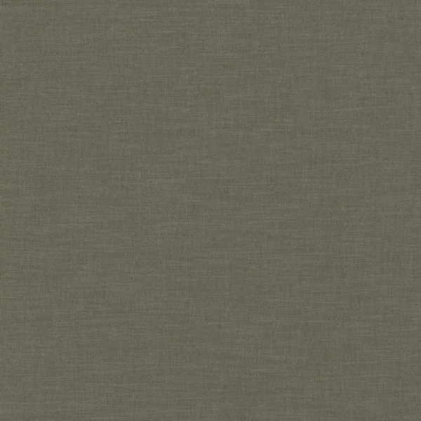Esprit Fabric - Smoke by green plain woven fabric from Camengo