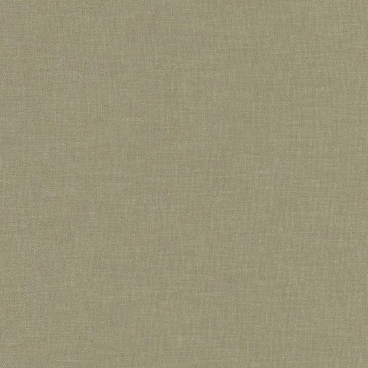 Esprit Fabric - Linen by green plain woven fabric from Camengo