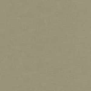 green plain woven fabric from Camengo
