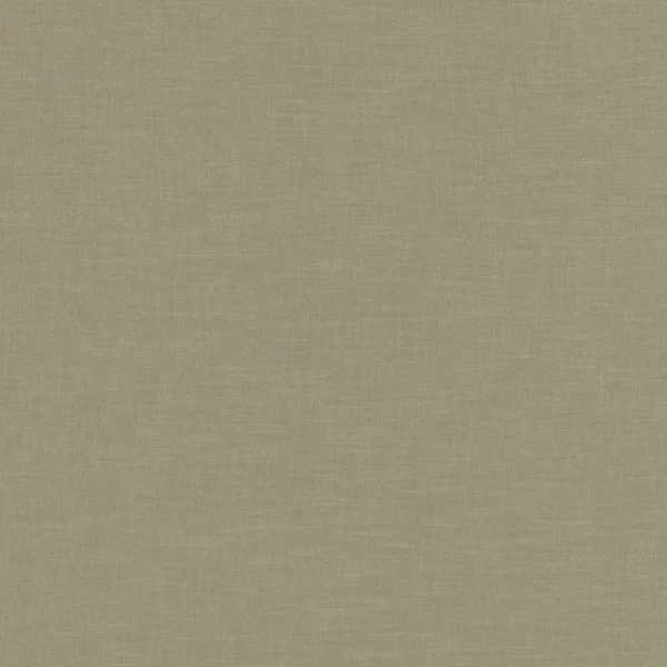 Esprit Fabric - Linen by green plain woven fabric from Camengo