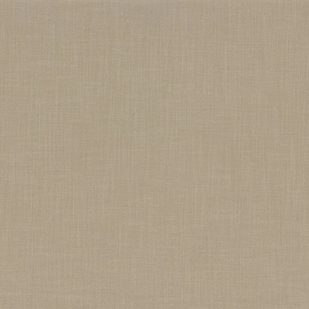 Esprit Fabric - Cereales by brown plain woven fabric from Camengo