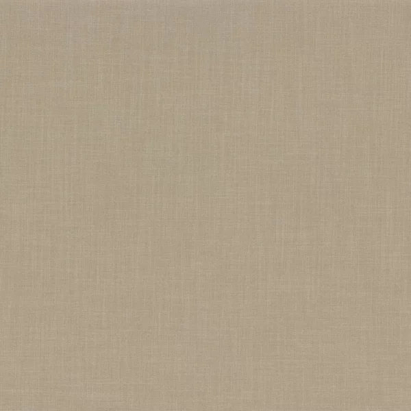 Esprit Fabric - Cereales by brown plain woven fabric from Camengo