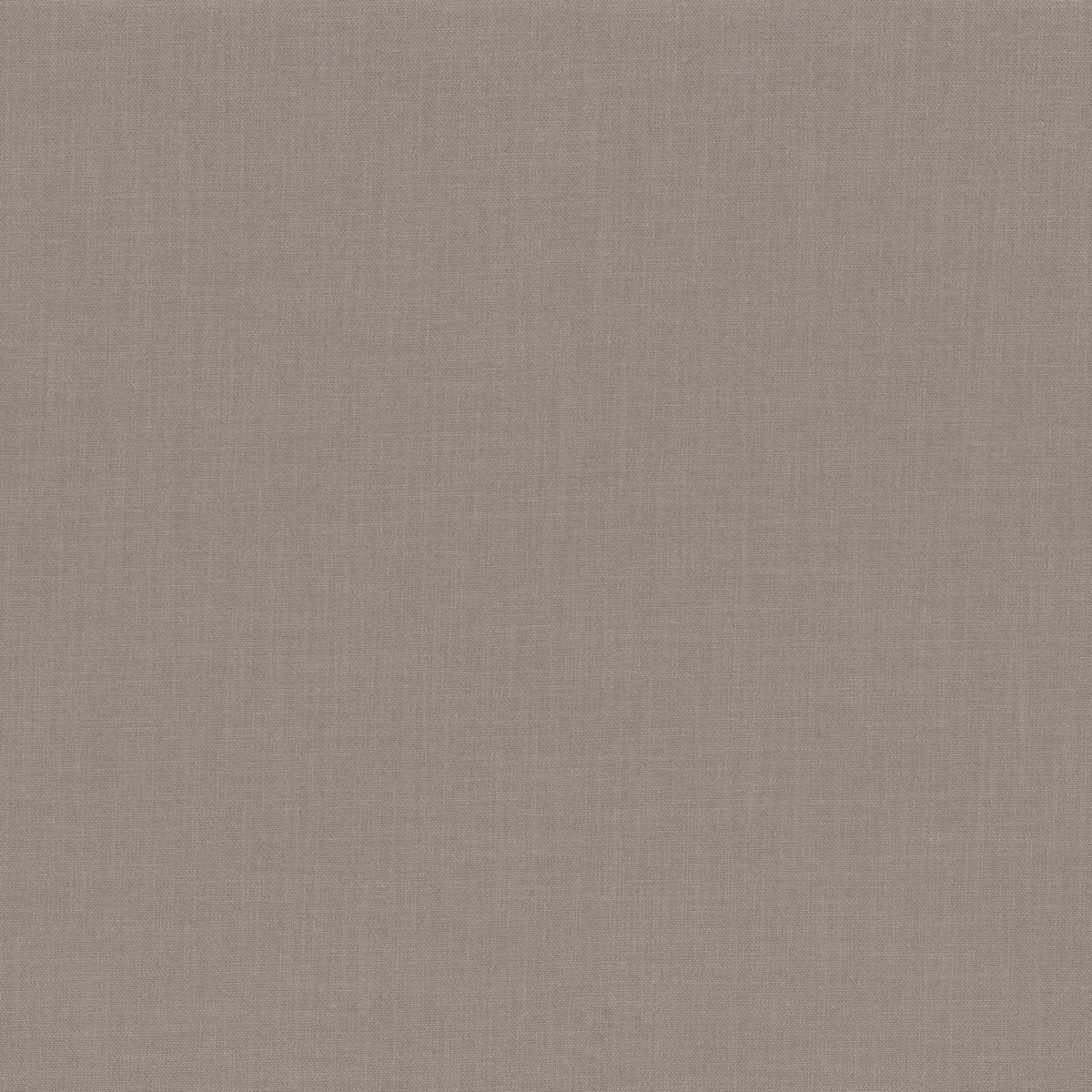Esprit Fabric - Taupe by neutral plain woven fabric from Camengo