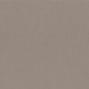 neutral plain woven fabric from Camengo