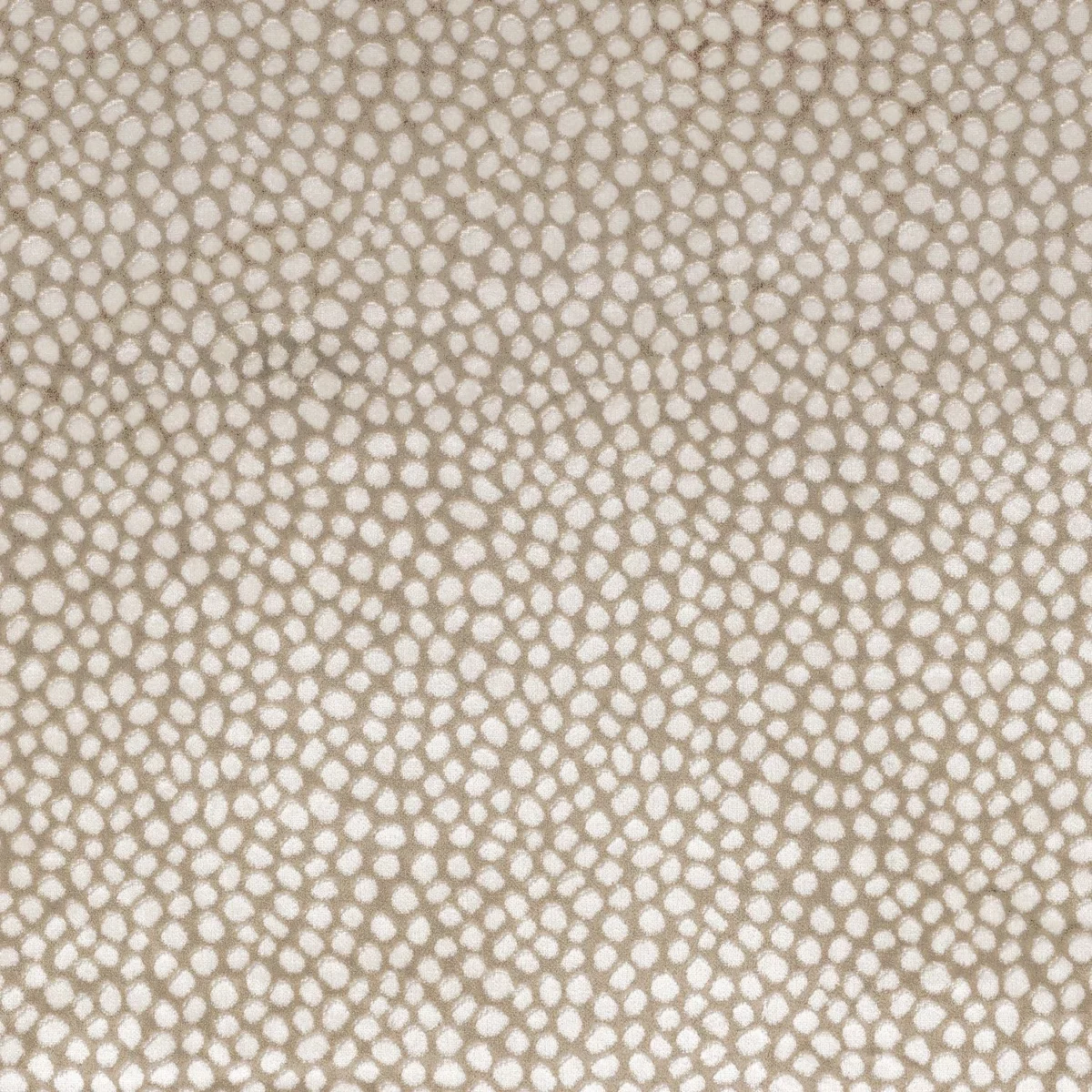 Borla Fabric - Sable by neutral spotted velvet-chenille fabric from Camengo