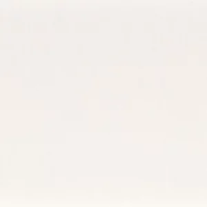 white plain cotton fabric from Camengo