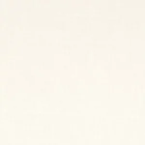 white plain cotton fabric from Camengo