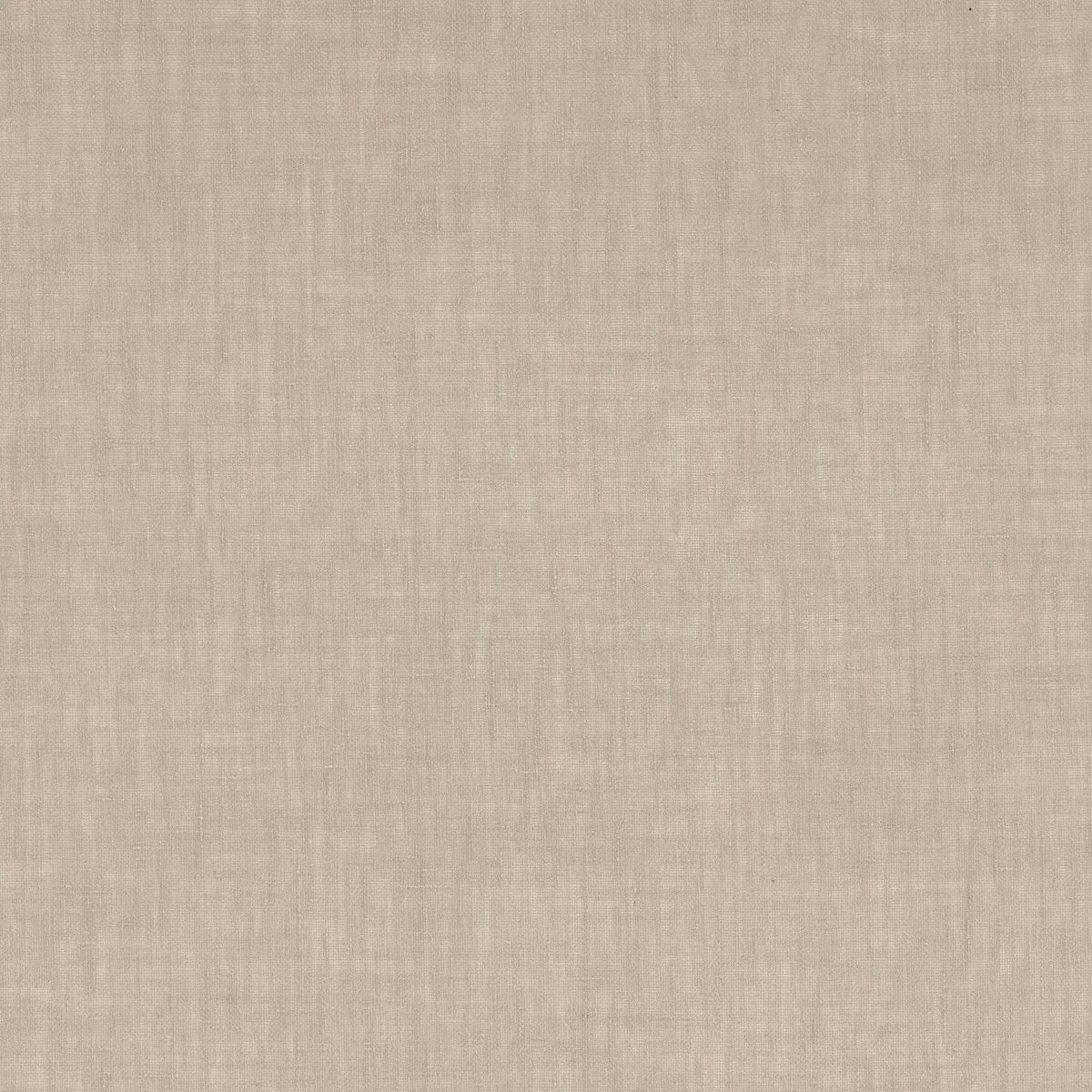 Tremiti Fabric - Chamois by brown plain cotton fabric from Camengo