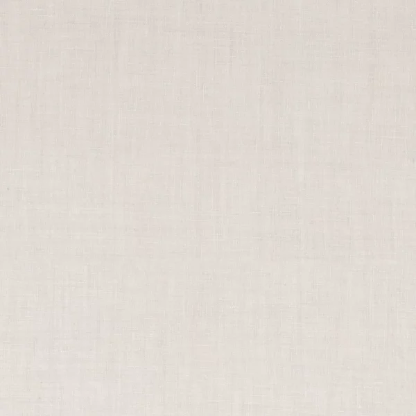 Tremiti Fabric - Perle by neutral plain cotton fabric from Camengo