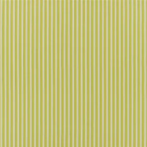green striped cotton fabric from Designers Guild