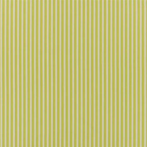 Albemarle Stripe Fabric - Lime by green striped cotton fabric from Designers Guild