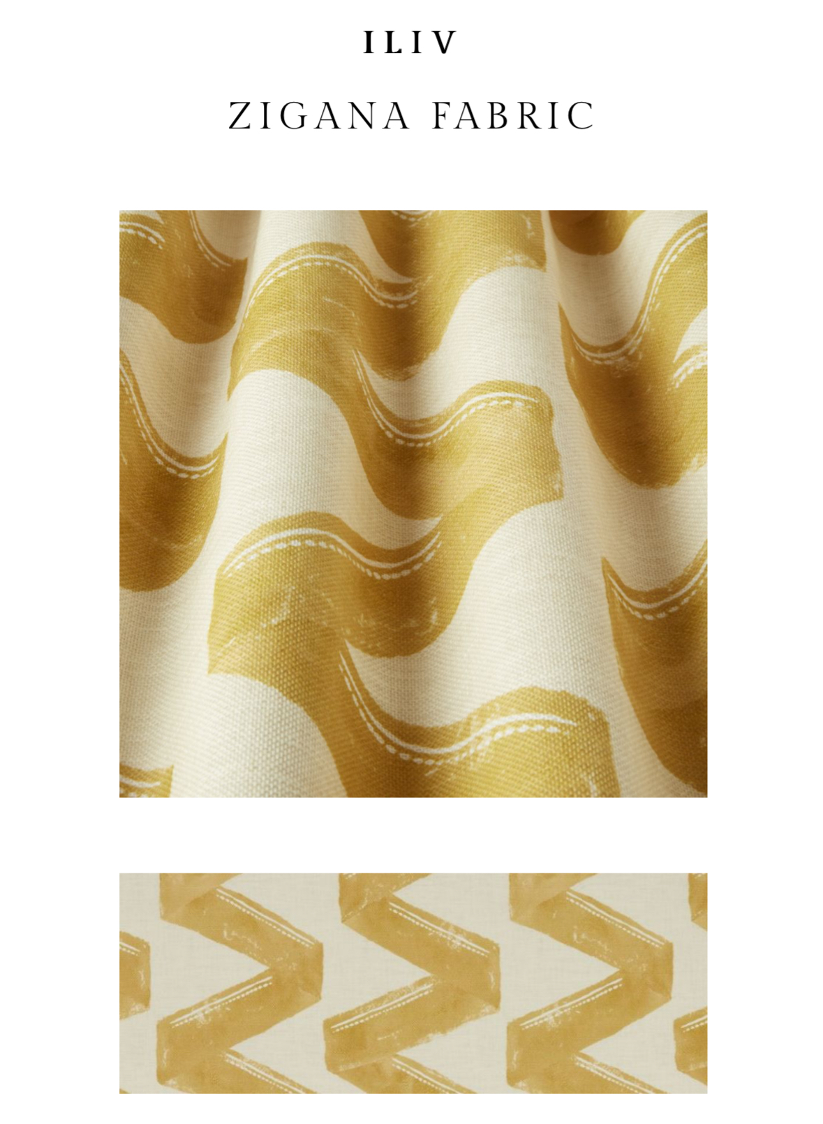 Zesty Zingers to Elevate your Interior! by Zesty Zingers to Elevate your Interior! from