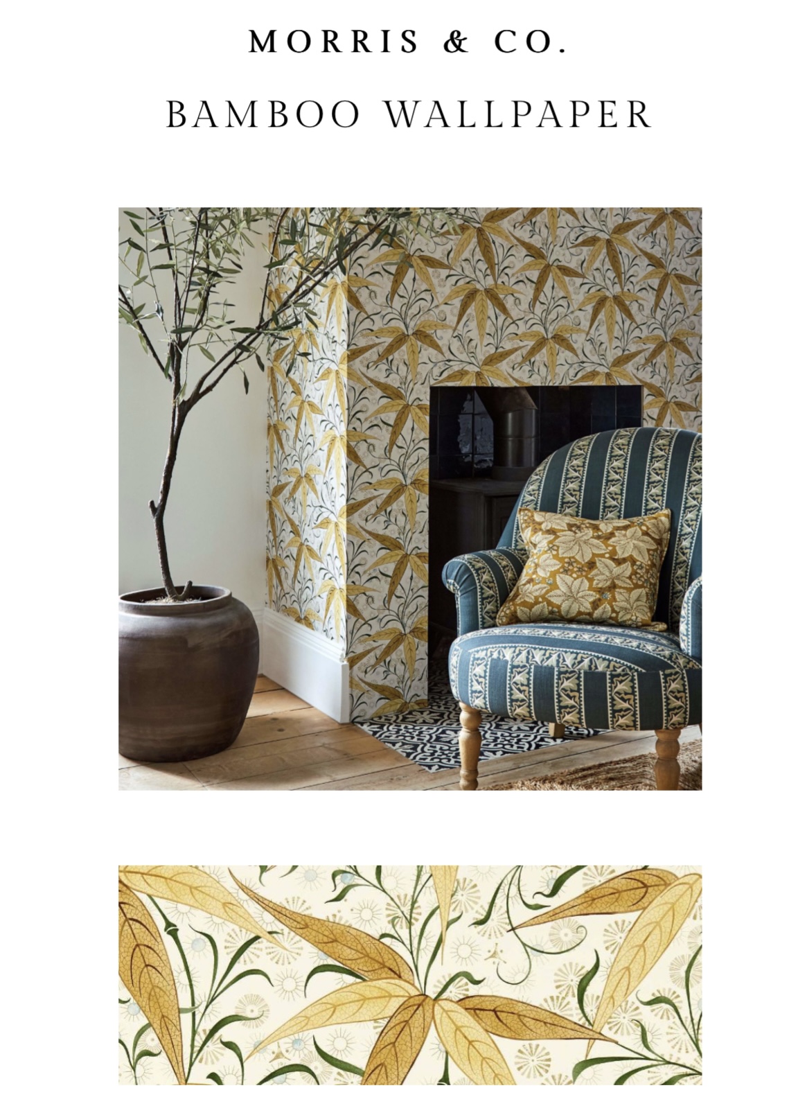 Zesty Zingers to Elevate your Interior! by Zesty Zingers to Elevate your Interior! from