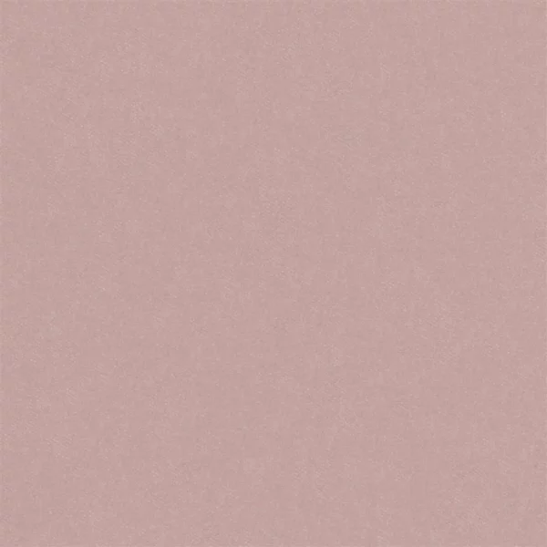 Brinzio Fabric - Blossom by pink plain velvet-chenille fabric from Designers Guild