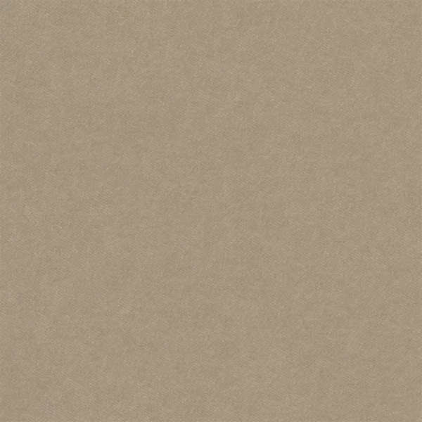 Brinzio Fabric - Sand by neutral plain velvet-chenille fabric from Designers Guild