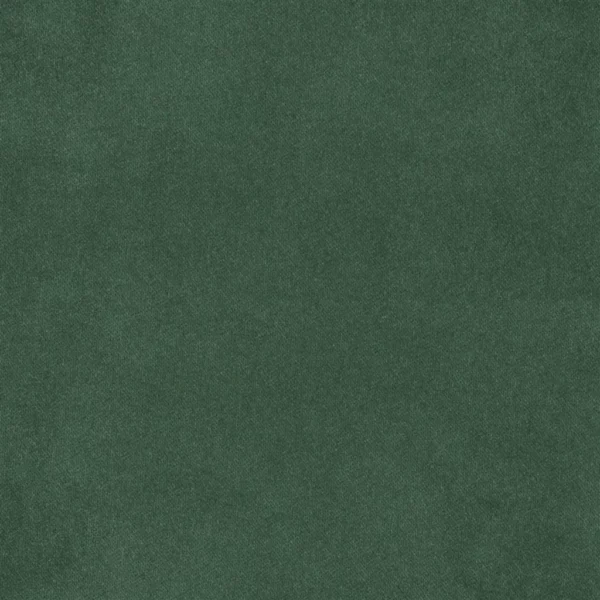 Brinzio Fabric - Fir by green plain velvet-chenille fabric from Designers Guild