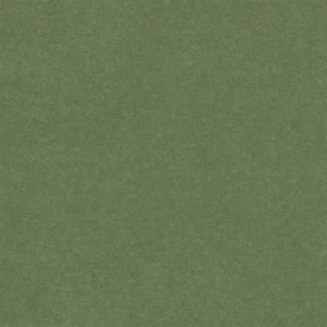 green plain velvet-chenille fabric from Designers Guild