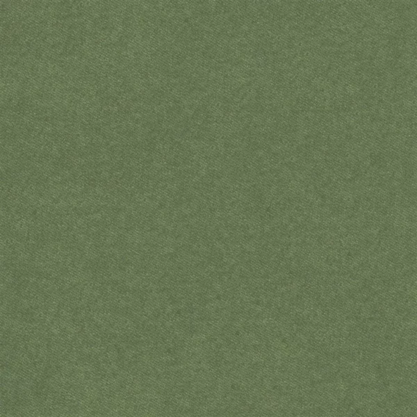 Brinzio Fabric - Lichen by green plain velvet-chenille fabric from Designers Guild
