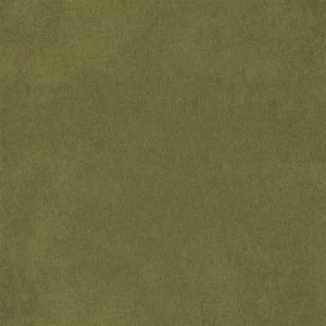 green plain velvet-chenille fabric from Designers Guild