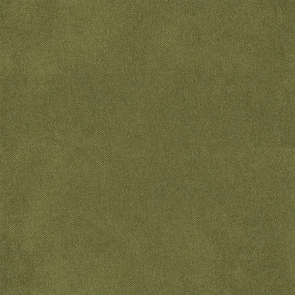 Brinzio Fabric - Moss by green plain velvet-chenille fabric from Designers Guild