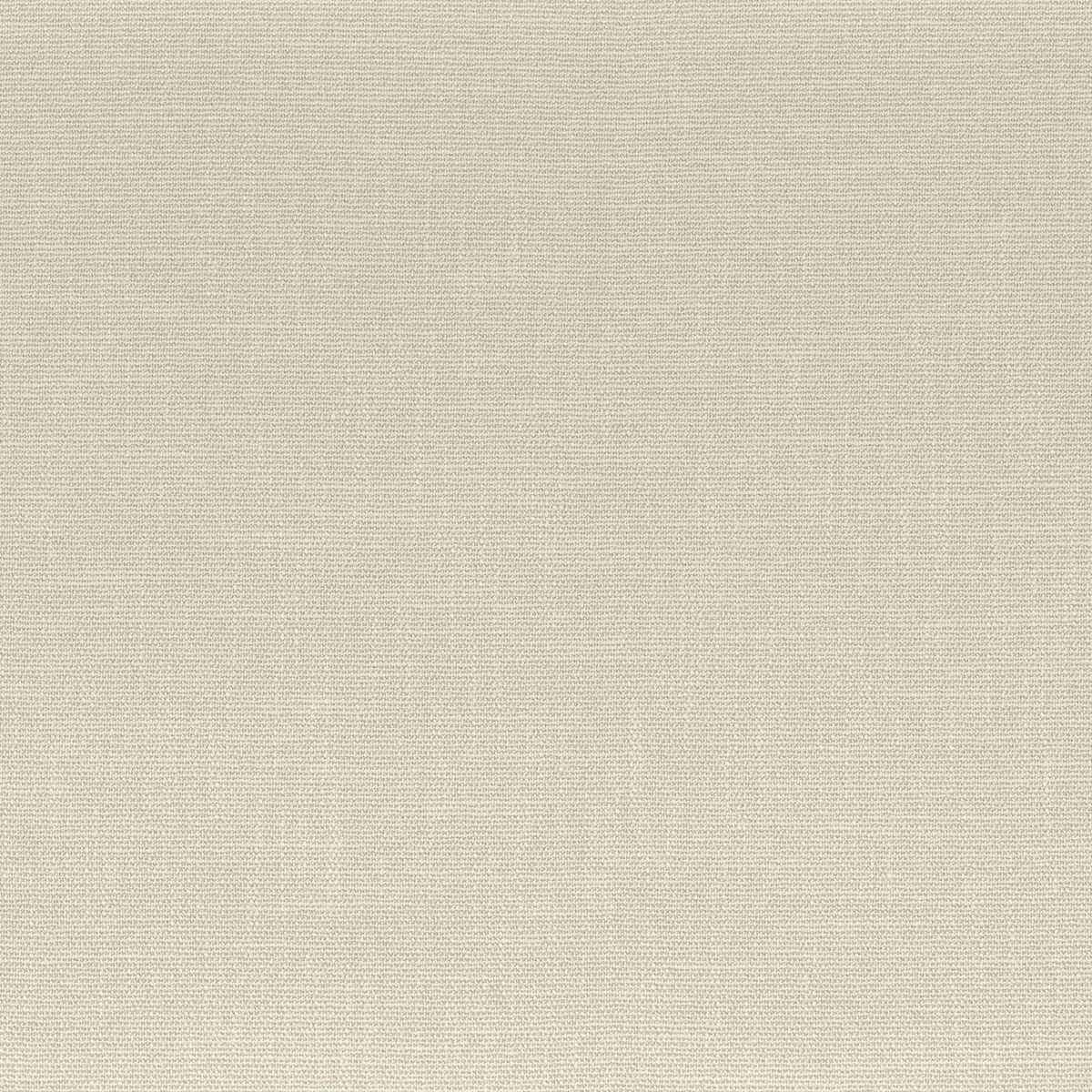 white plain linen fabric from Camengo