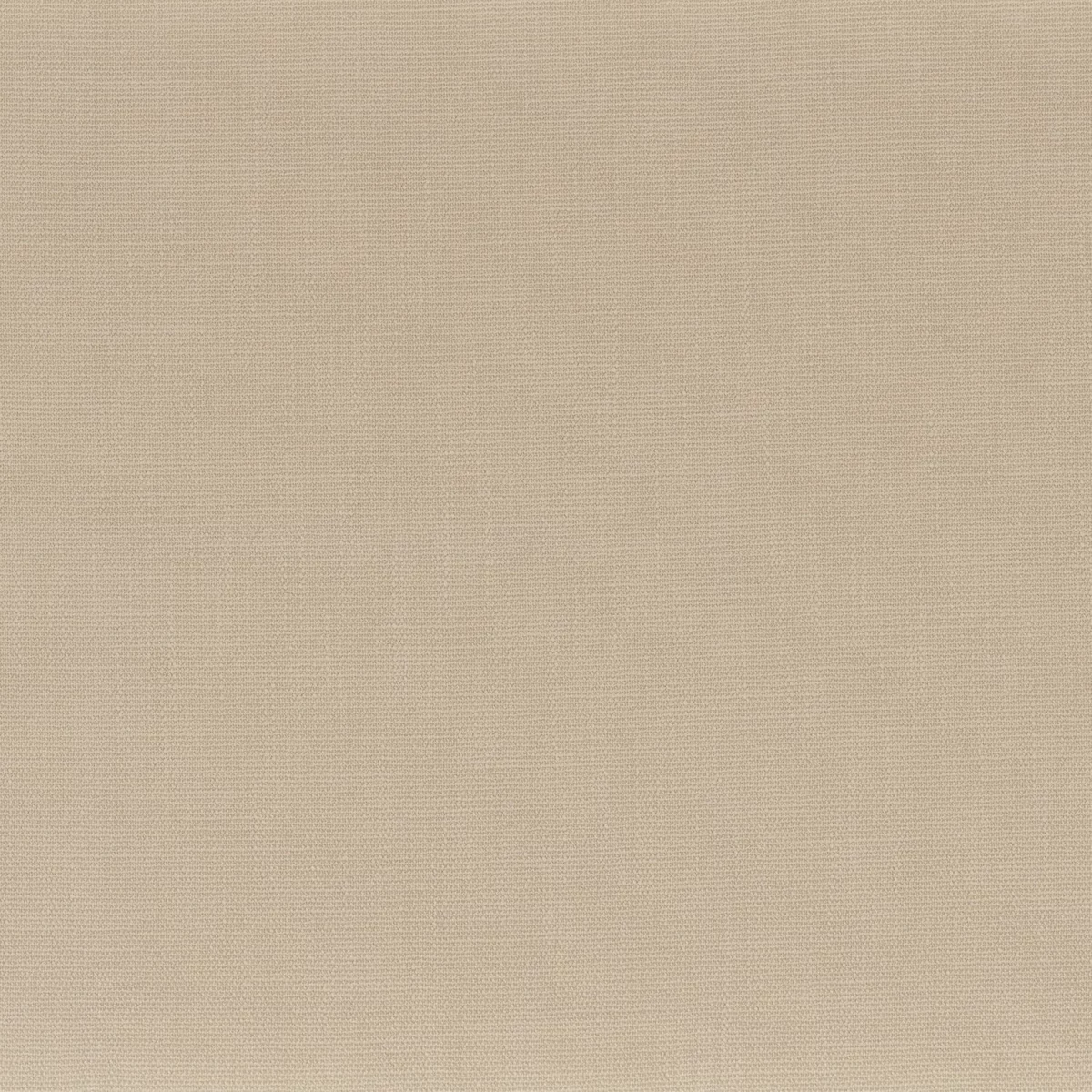 Rondo Fabric - Corde by neutral plain woven fabric from Camengo