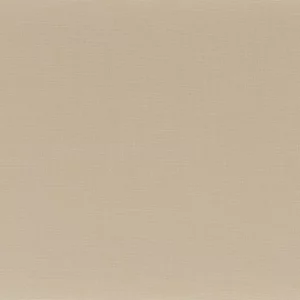 neutral plain woven fabric from Camengo