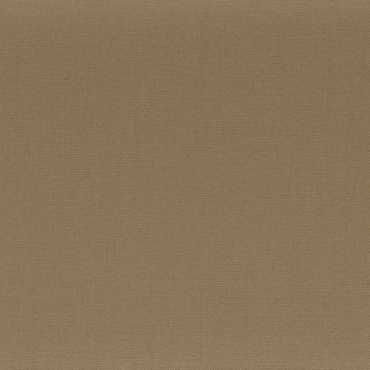 brown plain woven fabric from Camengo