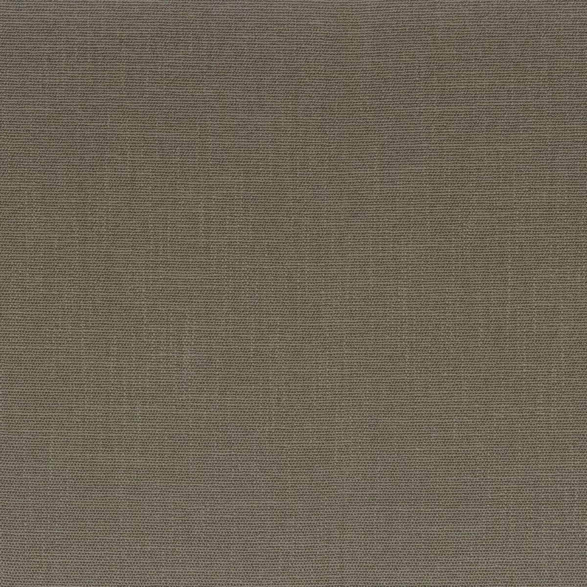 Rondo Fabric - Bronze by green plain woven fabric from Camengo