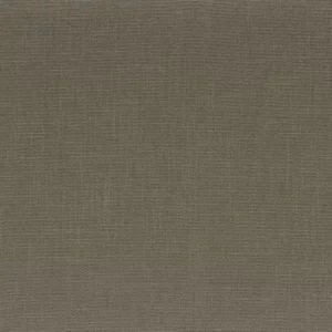 green plain woven fabric from Camengo