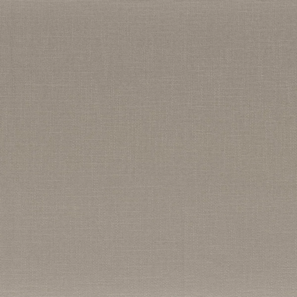 Rondo Fabric - Chamois by brown plain woven fabric from Camengo