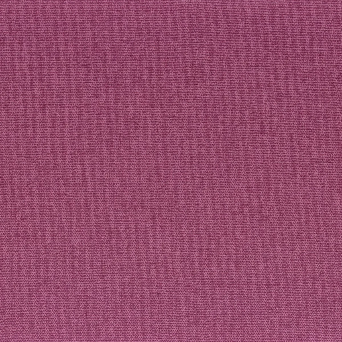 Rondo Fabric - Magenta by purple plain linen fabric from Camengo