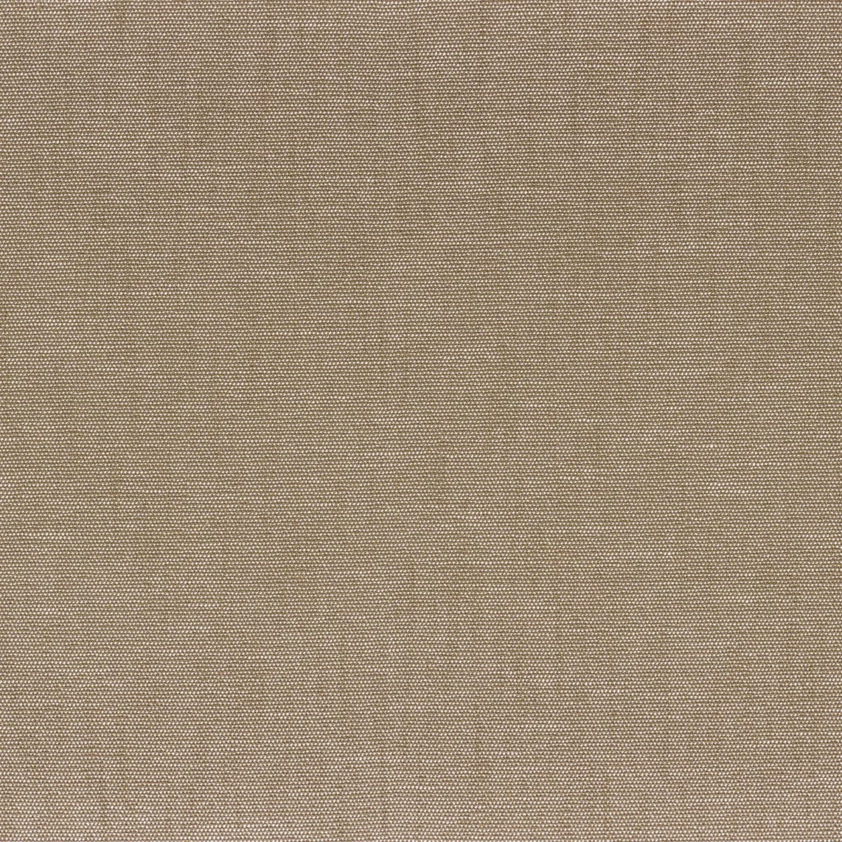 brown plain woven fabric from Camengo
