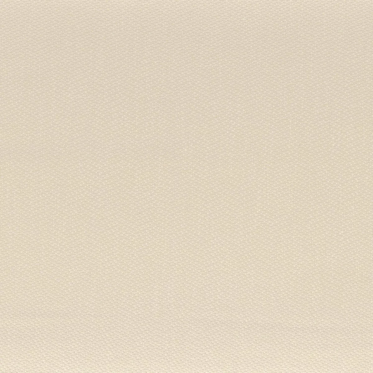 neutral plain woven fabric from Camengo