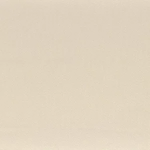 neutral plain woven fabric from Camengo