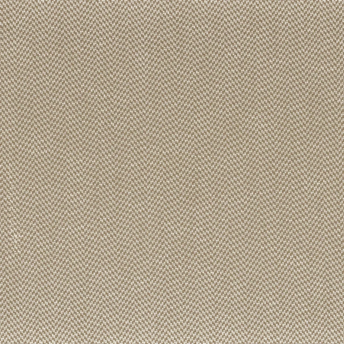 Herringbone Fabric - Caffe Latte by neutral plain woven fabric from Camengo