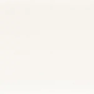 white plain linen fabric from Camengo