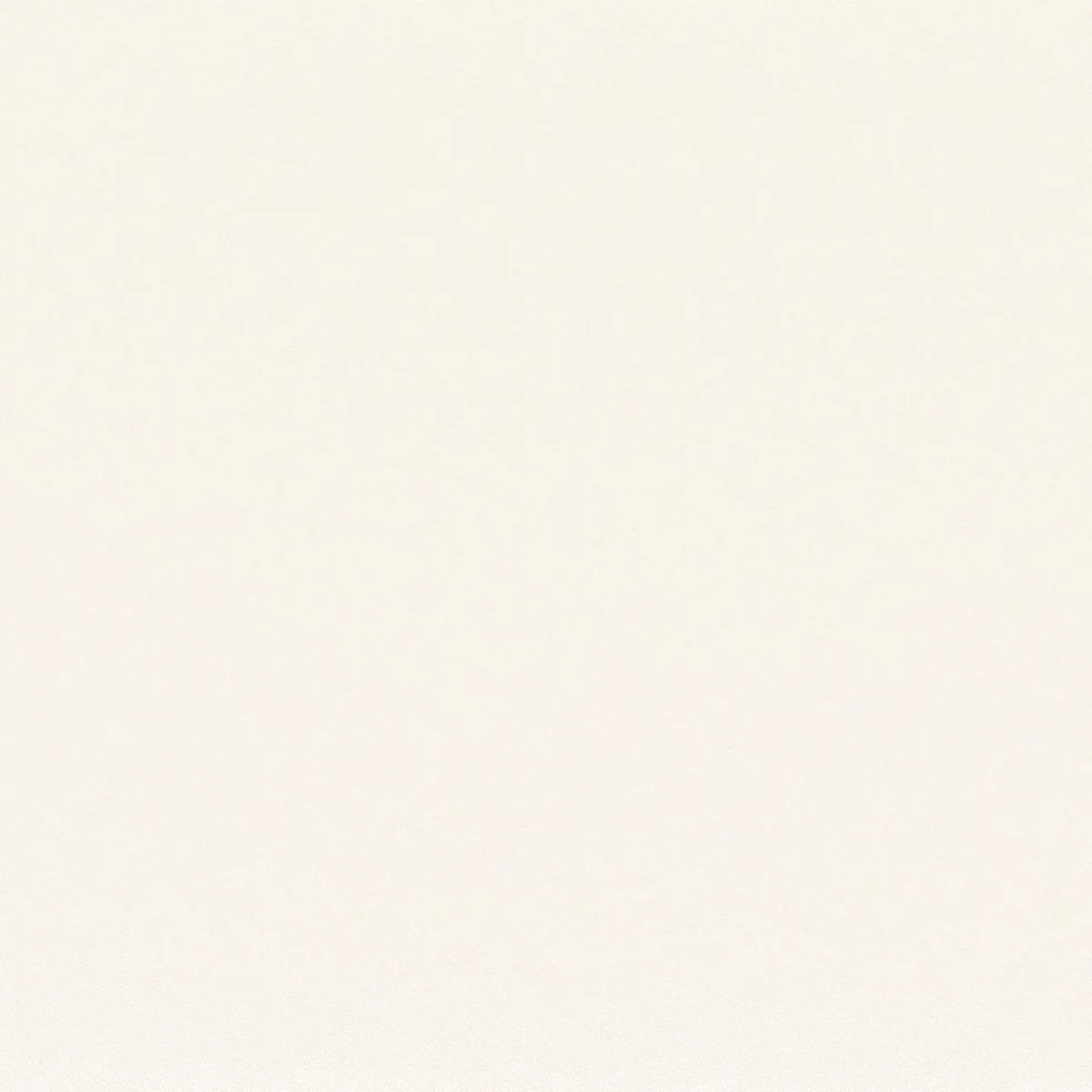 white plain silk-satin fabric from Camengo