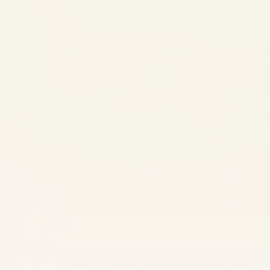 white plain silk-satin fabric from Camengo