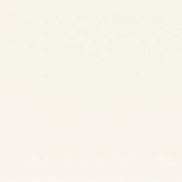Tarana Fabric - Blanc by white plain silk-satin fabric from Camengo