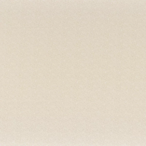 Tarana Fabric - Beige by neutral plain silk-satin fabric from Camengo