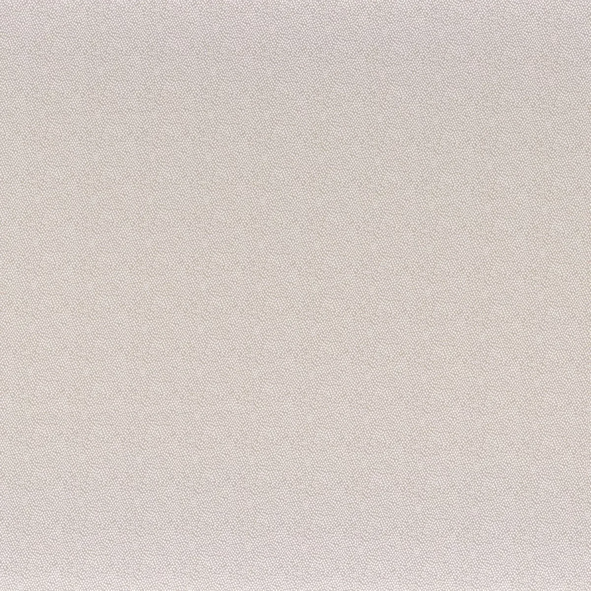 Tarana Fabric - Taupe by neutral plain silk-satin fabric from Camengo