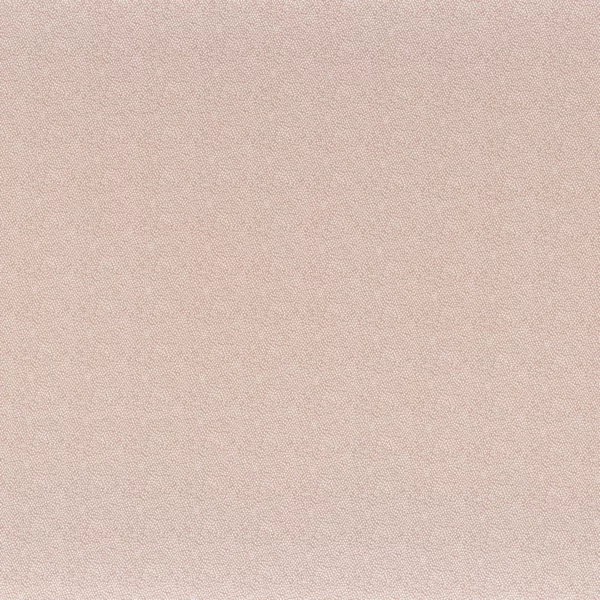 Tarana Fabric - Nude by pink plain silk-satin fabric from Camengo