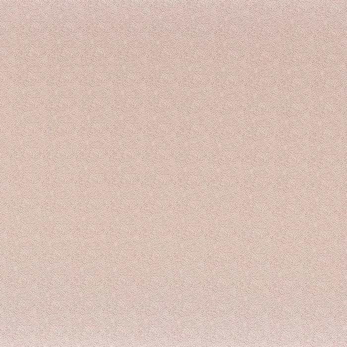 Tarana Fabric - Nude swatch