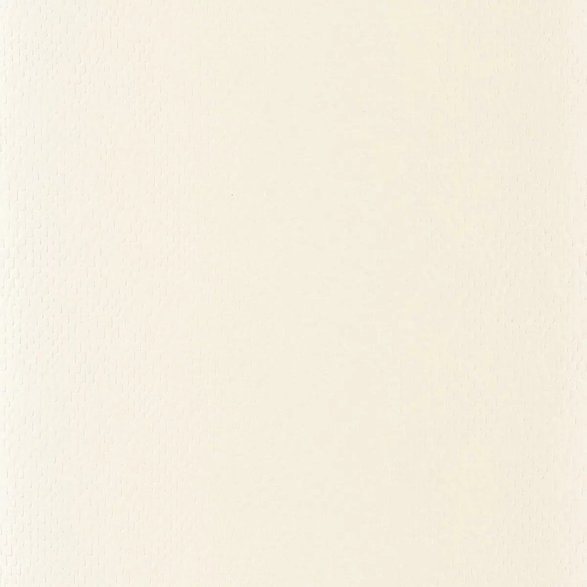white plain silk-satin fabric from Camengo