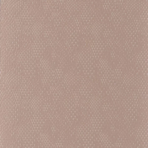 Port Jackson Fabric - Nude by brown plain silk-satin fabric from Camengo