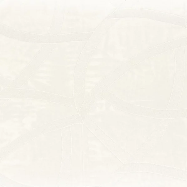 Faisceau Fabric - Blanc by white misc embroideried fabric from Camengo