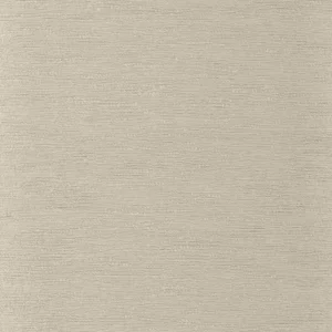 neutral plain misc fabric from Camengo